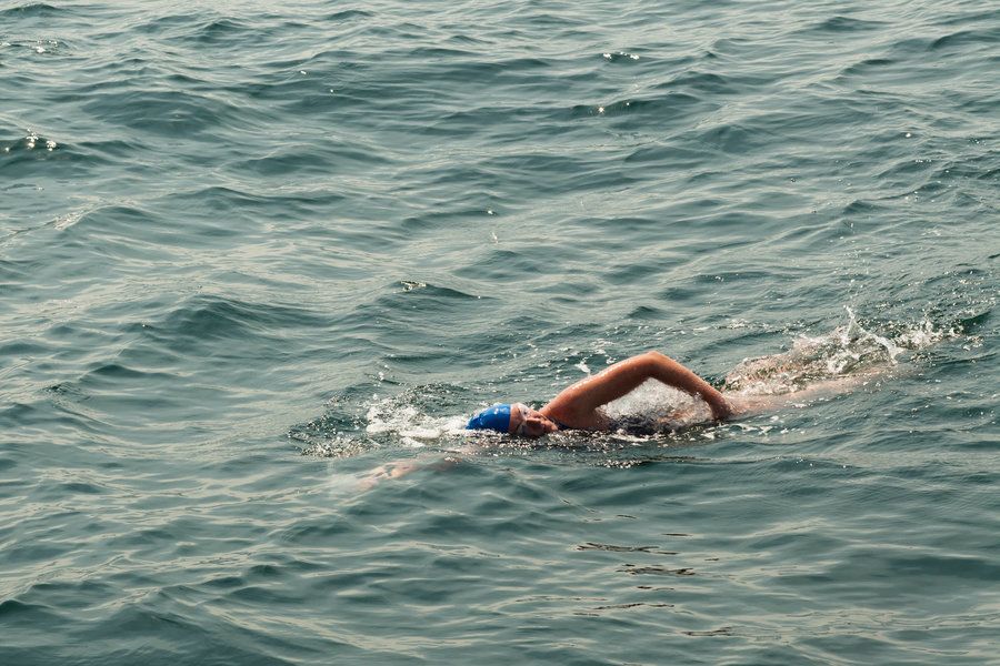 Diary of an open water swimmer - Wild about swimming and Great